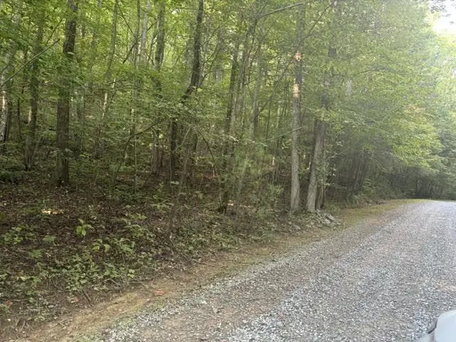 0 Heatherwood Way, Ellijay, GA 30540 - #3