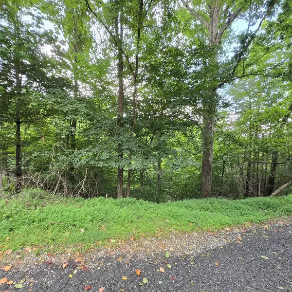 lot 71 Necowa Cove Overlook, Blue Ridge, GA 30513