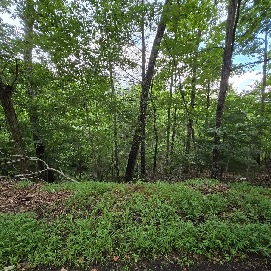 lot 71 Necowa Cove Overlook, Blue Ridge, GA 30513 - #2