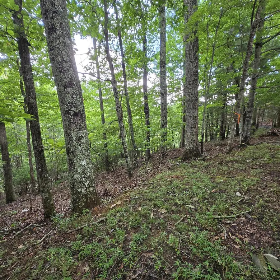 lot 71 Necowa Cove Overlook, Blue Ridge, GA 30513 - #3