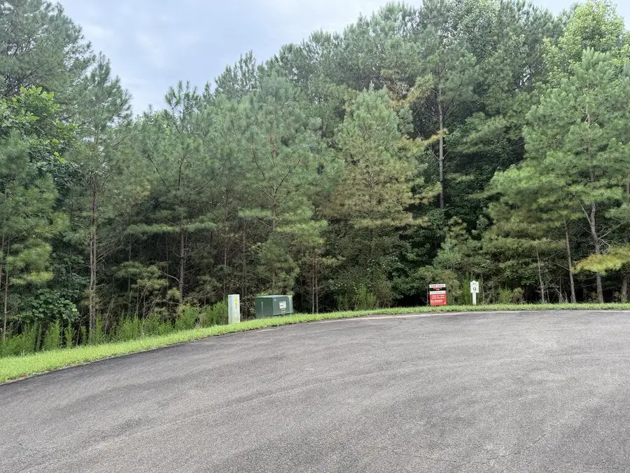 9 Foxpaw Leaf Court, Ellijay, GA 30536 - #3