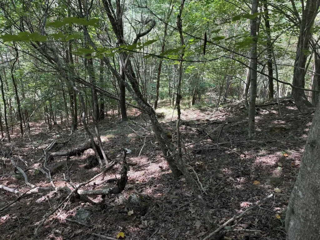 Lot 25 The Hills At Queens Gap, Blairsville, GA 30512 - #1