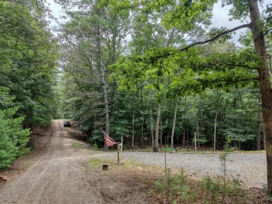 155 Atkins Trail, Blairsville, GA 30512 - #3