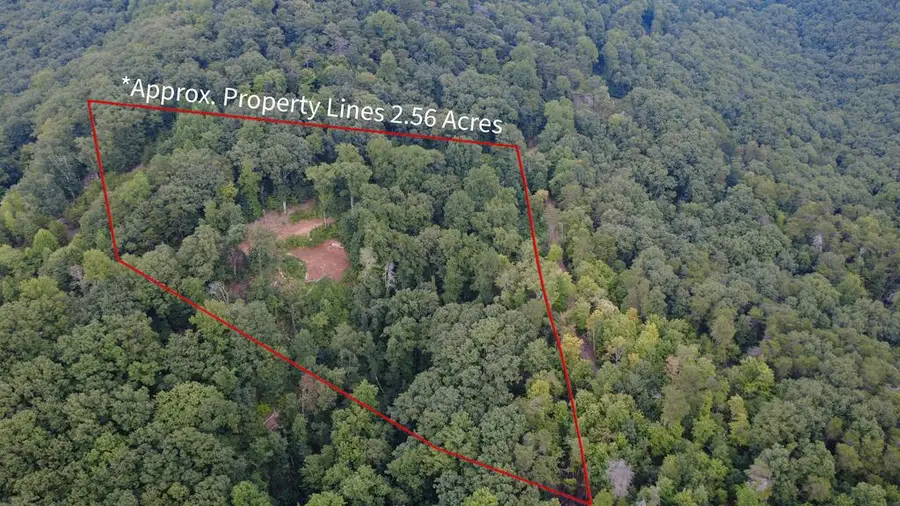 00 Firetower Road, Jasper, GA 30143 - #2