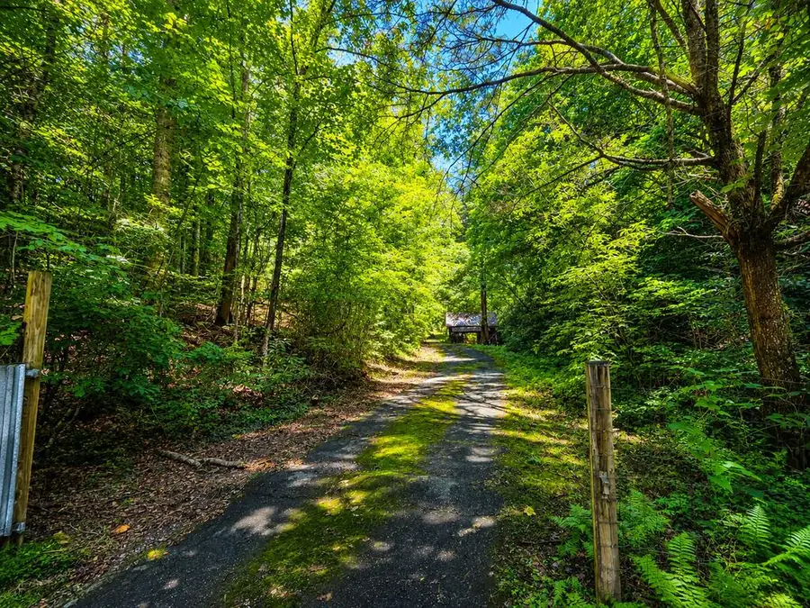 197 Pounding Mill Connector, Hayesville, NC 28904 - #2