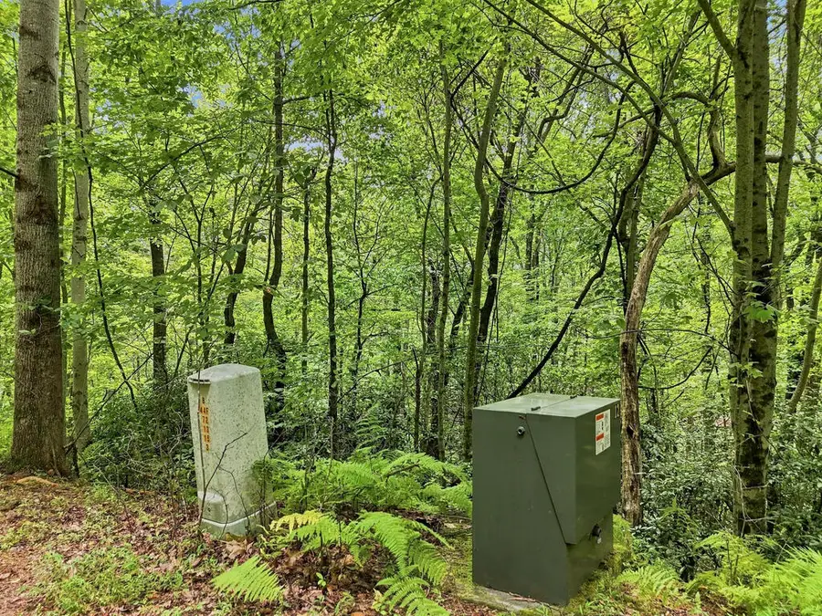 Lot 27 Deer Crest Road, Blue Ridge, GA 30513 - #2