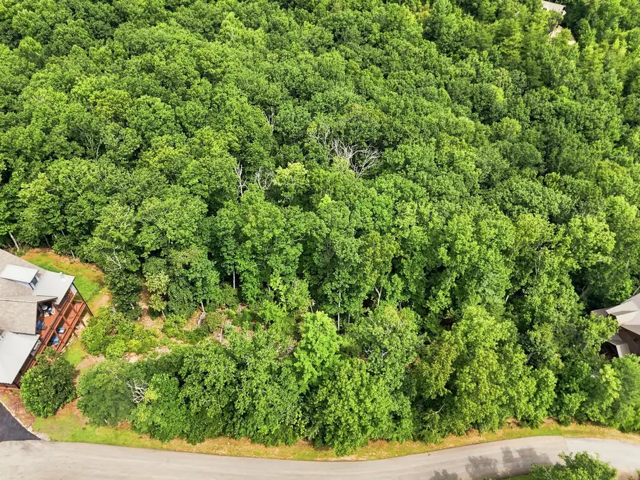 0 Deer Crest Road, Blue Ridge, GA 30513 - #2