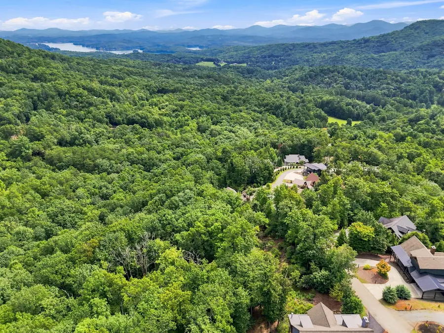 0 Deer Crest Road, Blue Ridge, GA 30513 - #3
