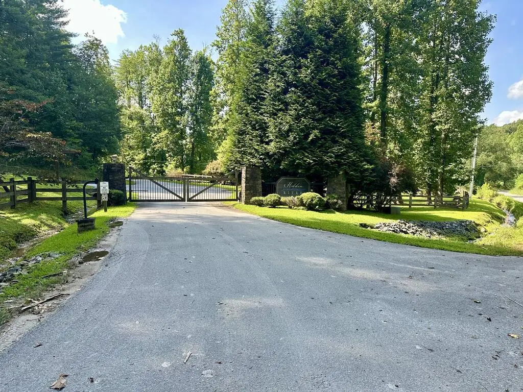 TBD Lost River Trail, Hayesville, NC 28904 - #1