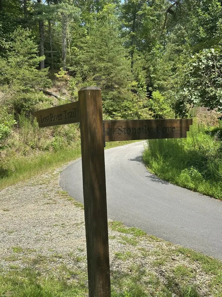TBD Lost River Trail, Hayesville, NC 28904 - #2