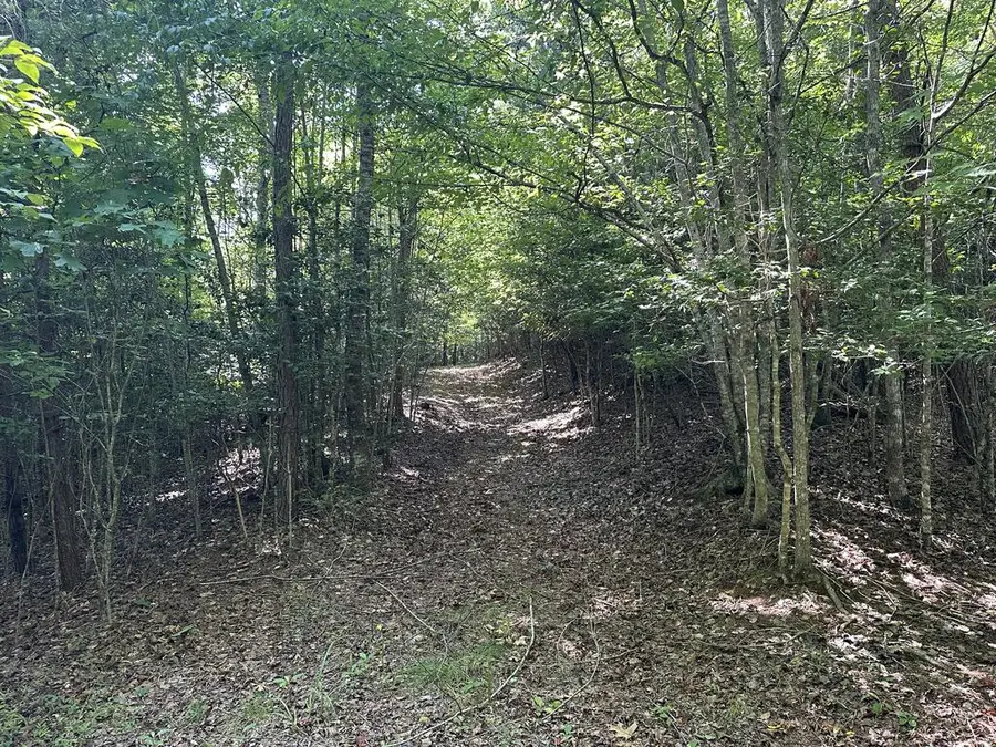 TBD Lost River Trail, Hayesville, NC 28904 - #3
