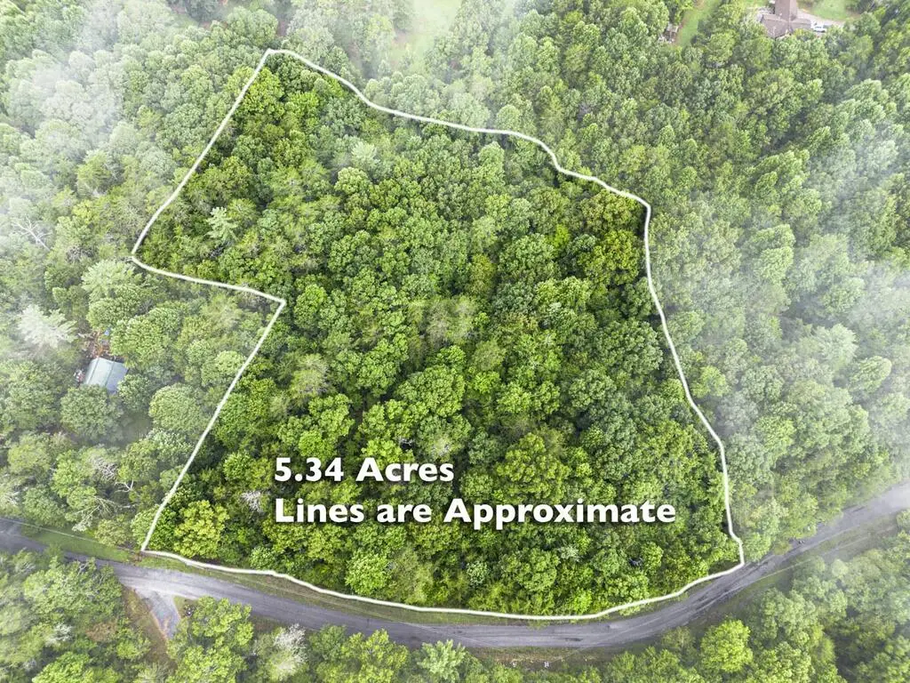 5.34 AC Hill Top Circle, McCaysville, GA 30555 - #1