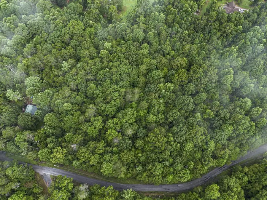 5.34 AC Hill Top Circle, McCaysville, GA 30555 - #2