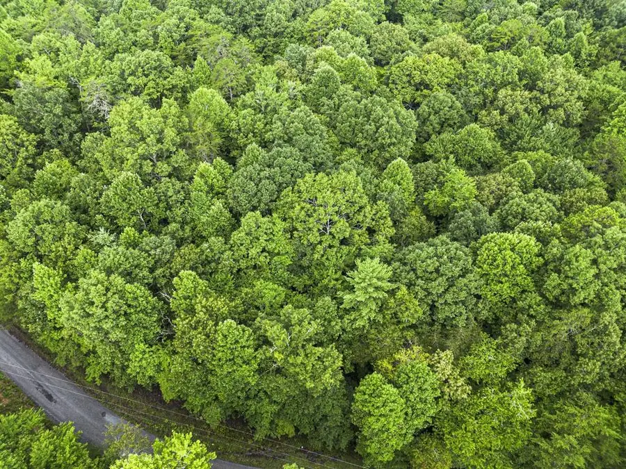 5.34 AC Hill Top Circle, McCaysville, GA 30555 - #3
