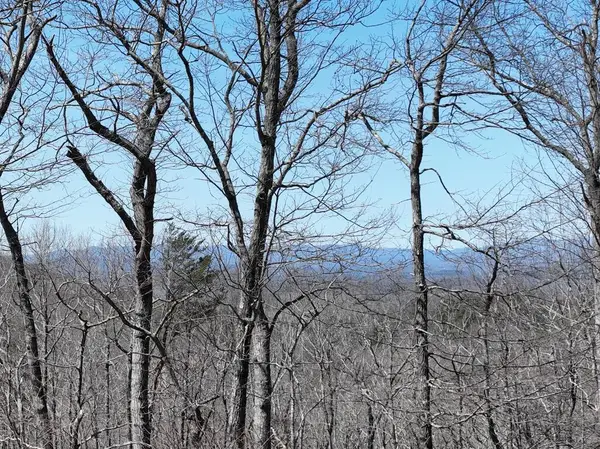 58 St Andrews Way, Ellijay, GA 30536