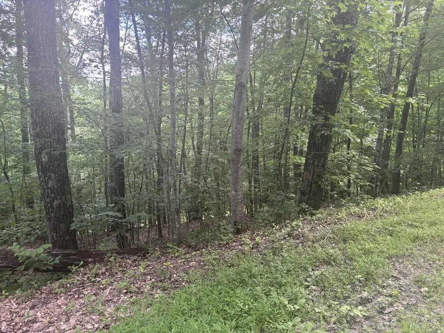 0 Wilderness Creek Way, Hothouse, NC 20906 - #3