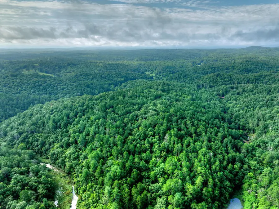 0 Andeburg Hollow Road, Copperhill, TN 37317 - #3