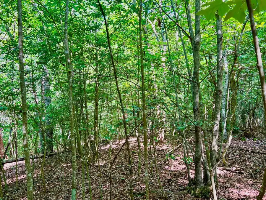 #2 Afton Road, Dawsonville, GA 30534 - #3