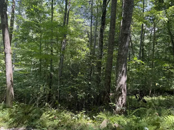 Lot 5 Blair Creek Ridge, Hayesville, NC 28904