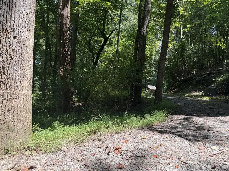 Lot 5 Blair Creek Ridge, Hayesville, NC 28904 - #2