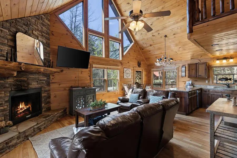 113 Dallas Lane, Blue Ridge, GA 30513 - #2