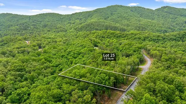 Lot 25 Crestview Point, Mineral Bluff, GA 30559