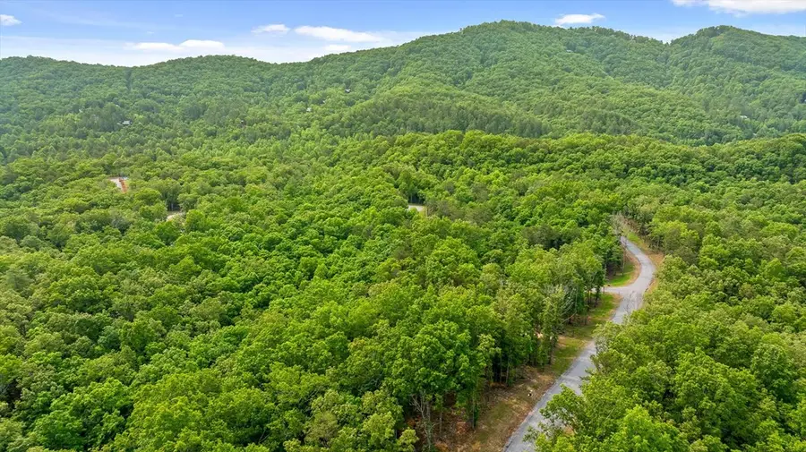 Lot 25 Crestview Point, Mineral Bluff, GA 30559 - #2