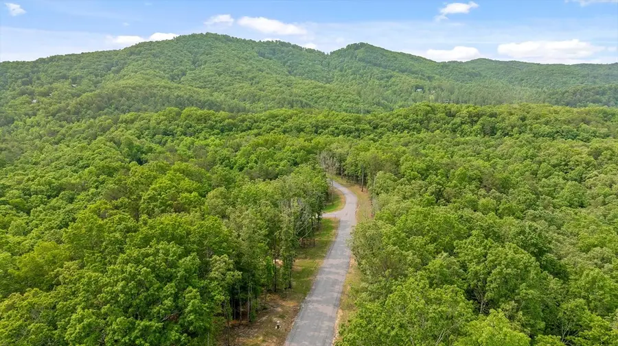 Lot 25 Crestview Point, Mineral Bluff, GA 30559 - #3