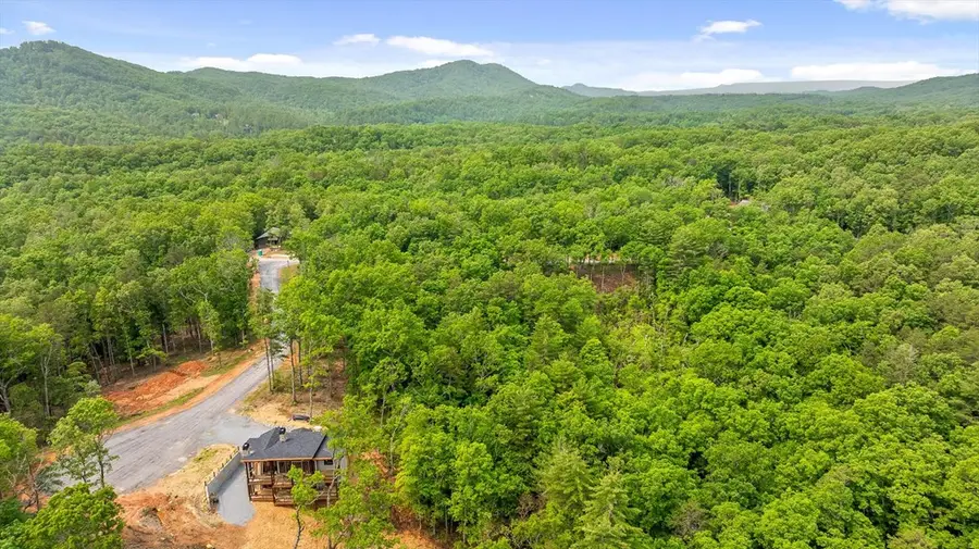 Lot 72 Hill Top Way, Mineral Bluff, GA 30559 - #3