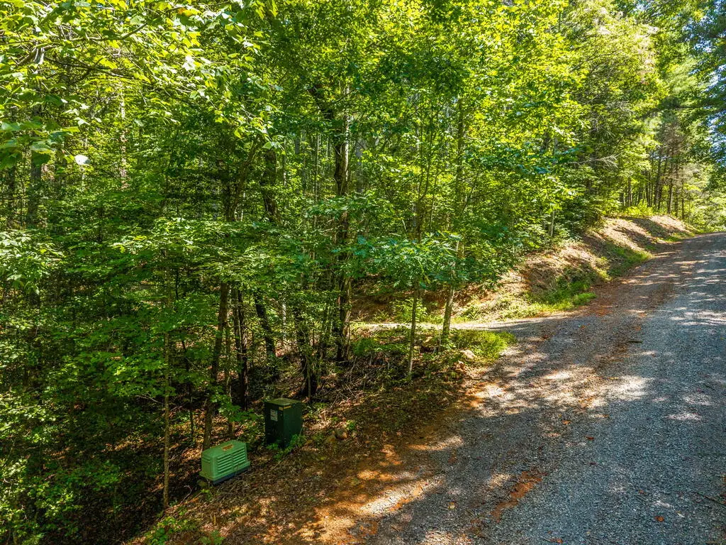 Tract 2A Stevens Ridge Road, Ellijay, GA 30540 - #1