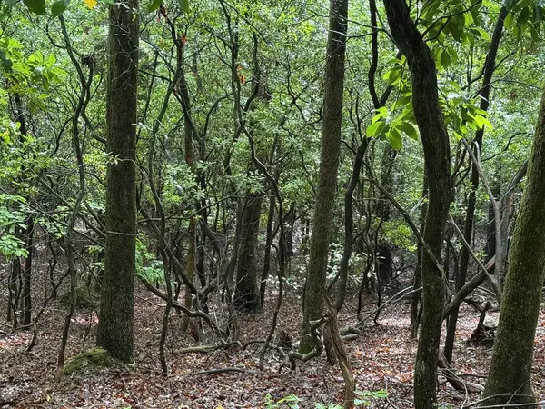 Lot 28 Atoah Loop, Murphy, NC 28906