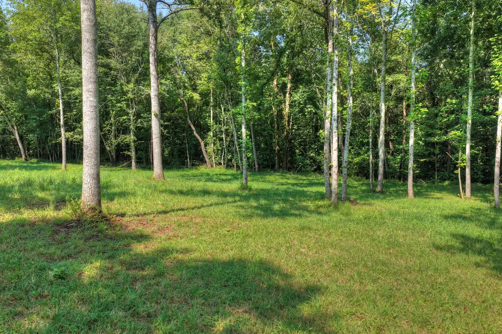 1.35 ac Wolf Creek Road, Murphy, NC 28906 - #1