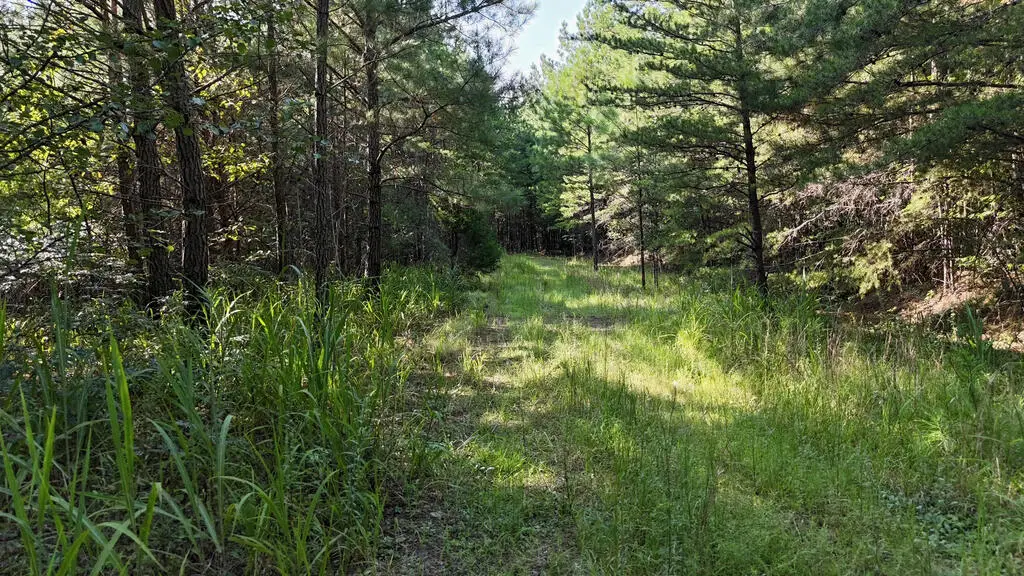 00 Dasali Way, Murphy, NC 28906 - #1