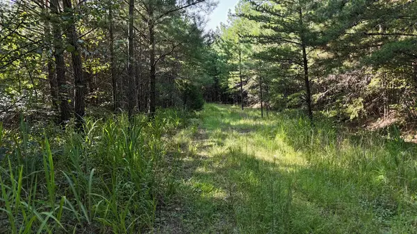 00 Dasali Way, Murphy, NC 28906