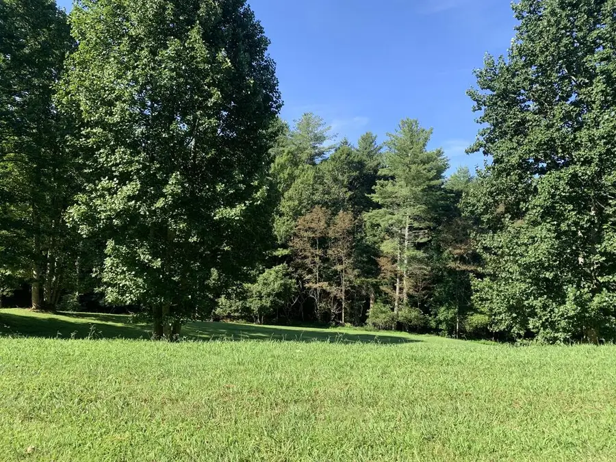 10A Yellow Maple Lane, Murphy, NC 28906 - #2
