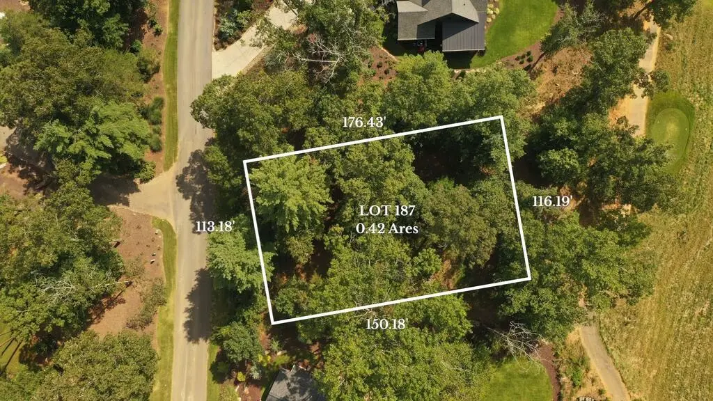 Lot 187 Trails End Way, Mineral Bluff, GA 30559 - #1
