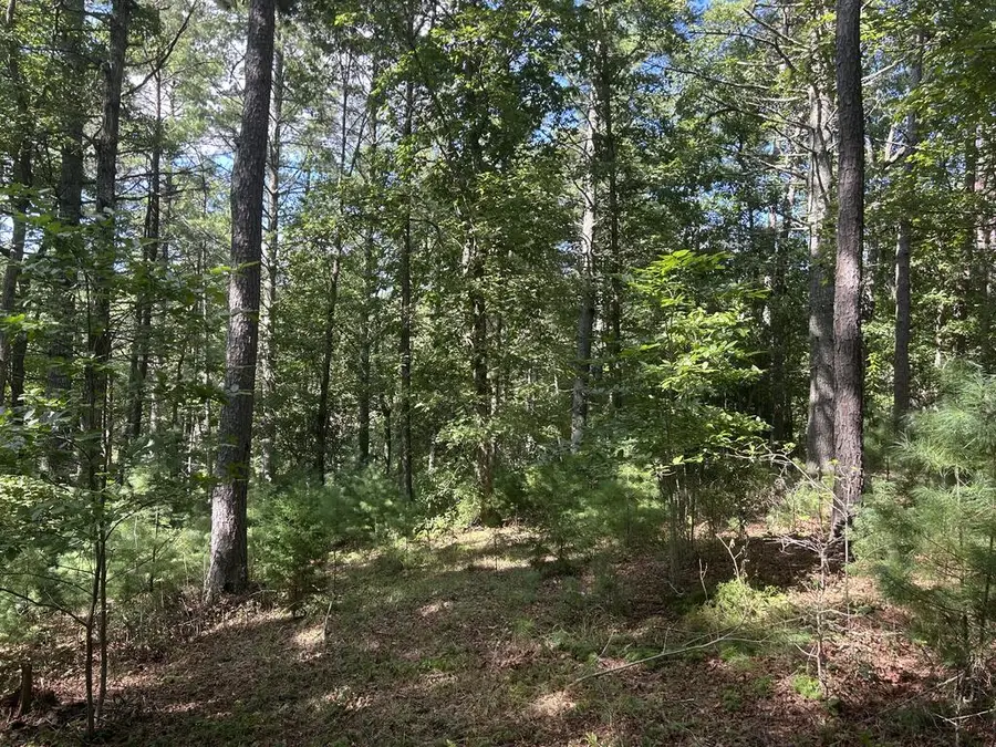 Lt 63 Harmony Way, Morganton, GA 30560 - #2