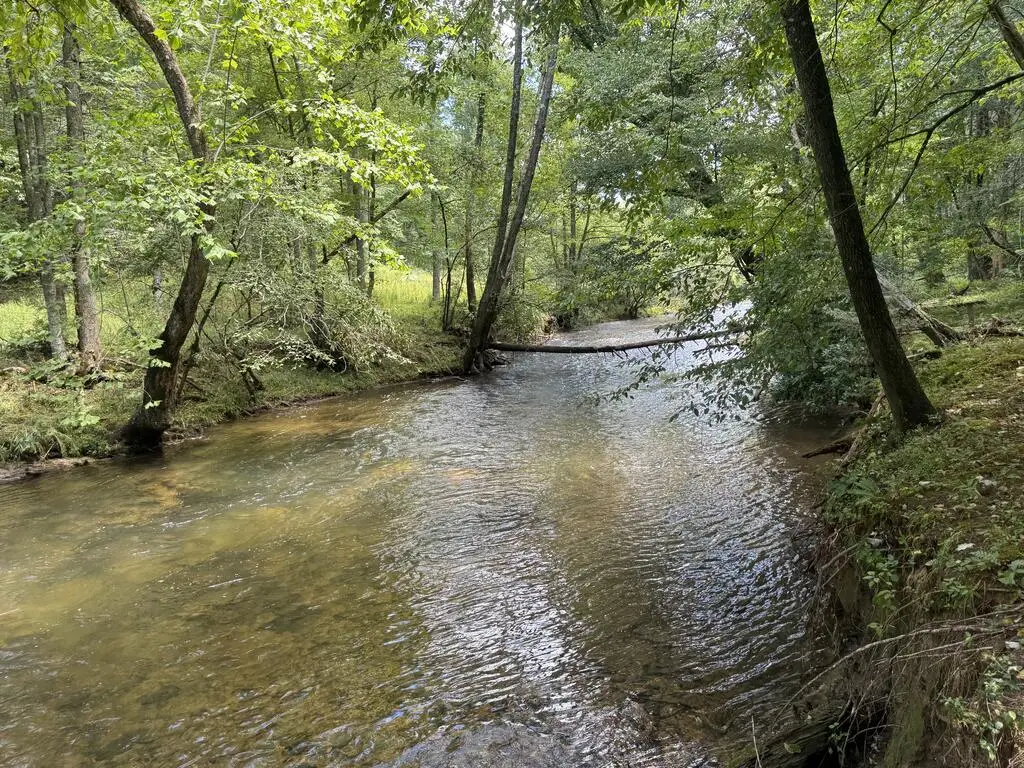 Lot 45 Gobbler Knob, Suches, GA 30572 - #1
