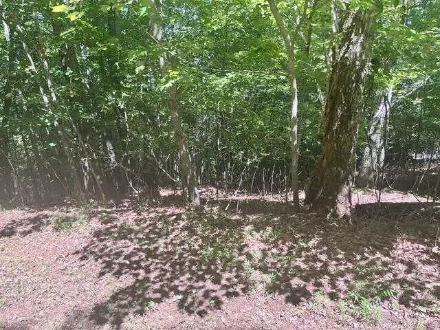 17 E Dogwood, Hayesville, NC 28904 - #1