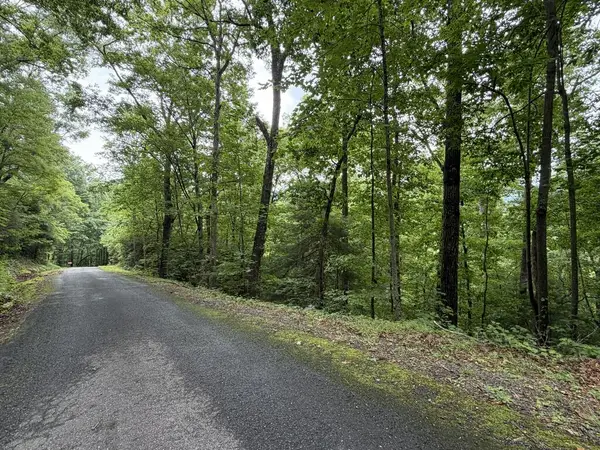 4.63 Twiggs Road, Hiawassee, GA 30546