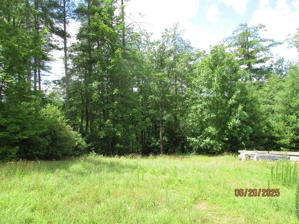 #10 Shelton Springs S/d, Hayesville, NC 28904 - #1