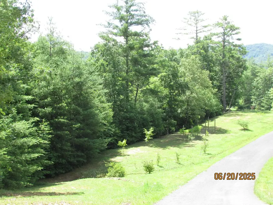 #10 Shelton Springs S/d, Hayesville, NC 28904 - #3