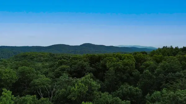 Lot 6 Allaire Lane, Mineral Bluff, GA 30559