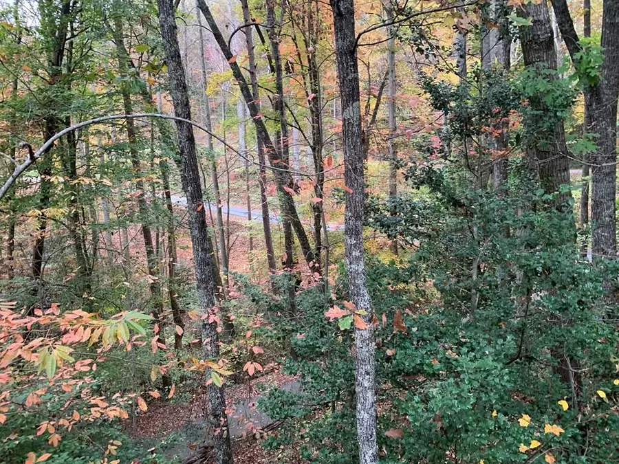 4,5&6 Mountain Wood Drive, Murphy, NC 28906 - #2