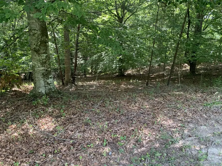4,5&6 Mountain Wood Drive, Murphy, NC 28906 - #3