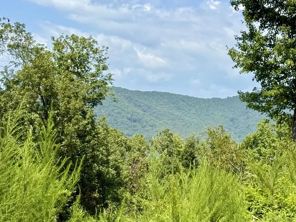 Lot 31 Grand Laurel, Brasstown, NC 28902 - #1
