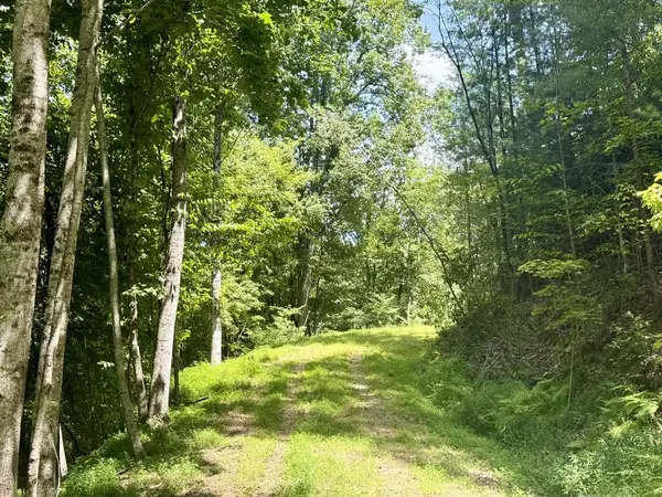 Lot 8 Wild Laurel, Brasstown, NC 28902