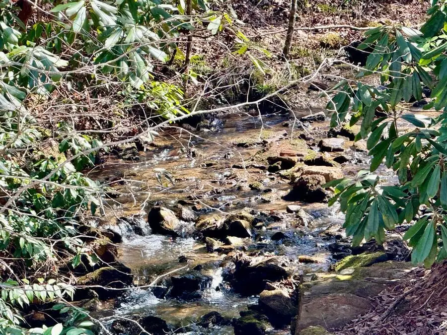 Lot 8 Wild Laurel, Brasstown, NC 28902 - #2