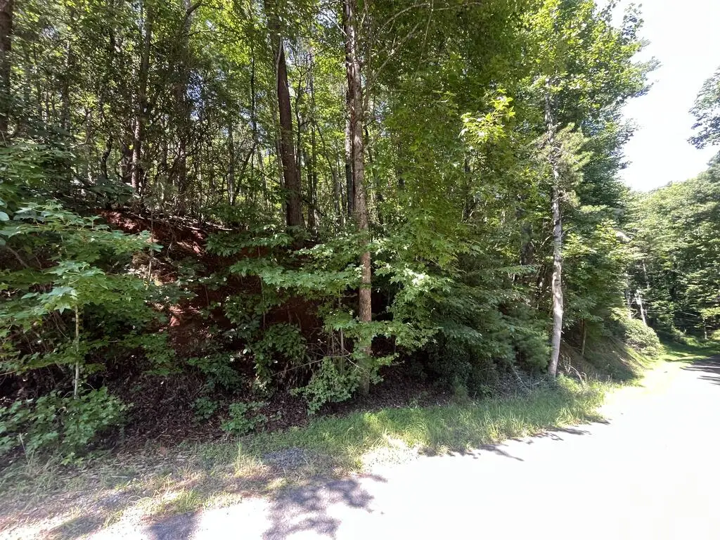 P 10 Gold Mine Drive, Ellijay, GA 30536 - #1