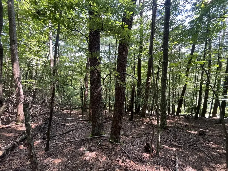 P 10 Gold Mine Drive, Ellijay, GA 30536 - #2
